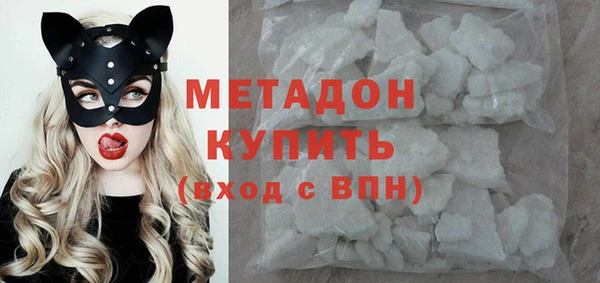 прущие грибы Белокуриха